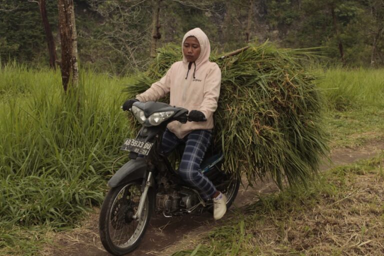 Denyut Perempuan Lereng Gunung Merapi